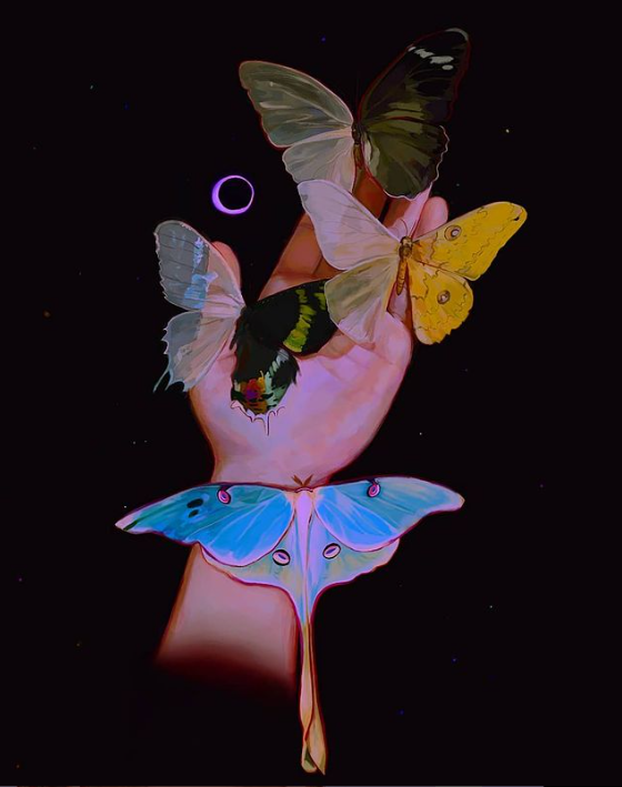 Wings