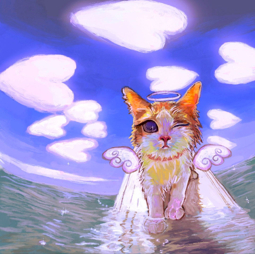 Angel Cat Surfing