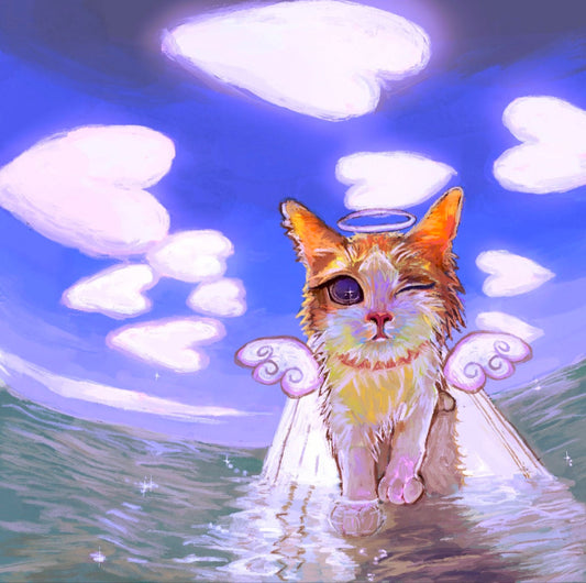 Angel Cat Surfing